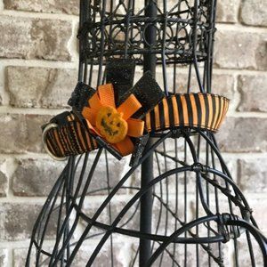 Halloween dog collar Large/XL Jack O Lantern Trick or Treat Costume Party